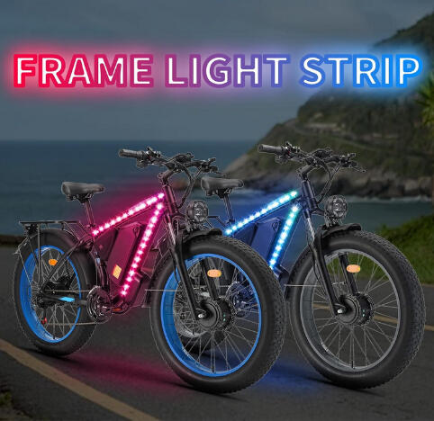 Bike Frame Lights